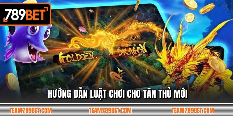 Hướng dẫn luật chơi cho tân thủ mới