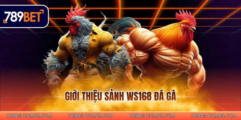 Giới thiệu sảnh WS168 đá gà