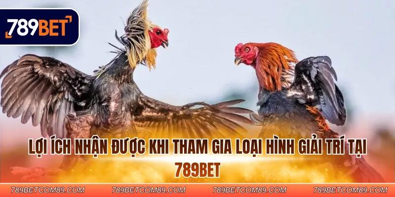 Lợi ích nhận được khi tham gia loại hình giải trí tại 789BET