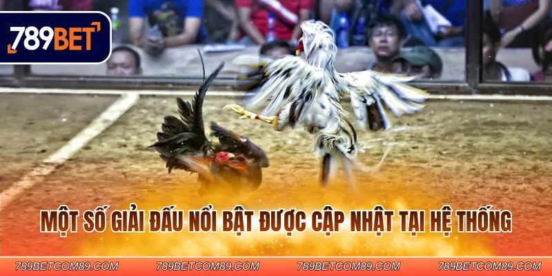 Một số giải đấu nổi bật được cập nhật tại hệ thống