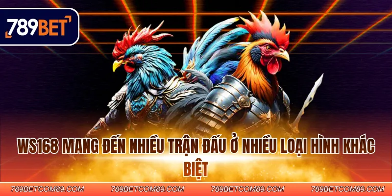 WS168 mang đến nhiều trận đấu ở nhiều loại hình khác biệt